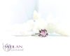Lotus - 925 sterling Silver Enamel Ring (pink - rose) size 57